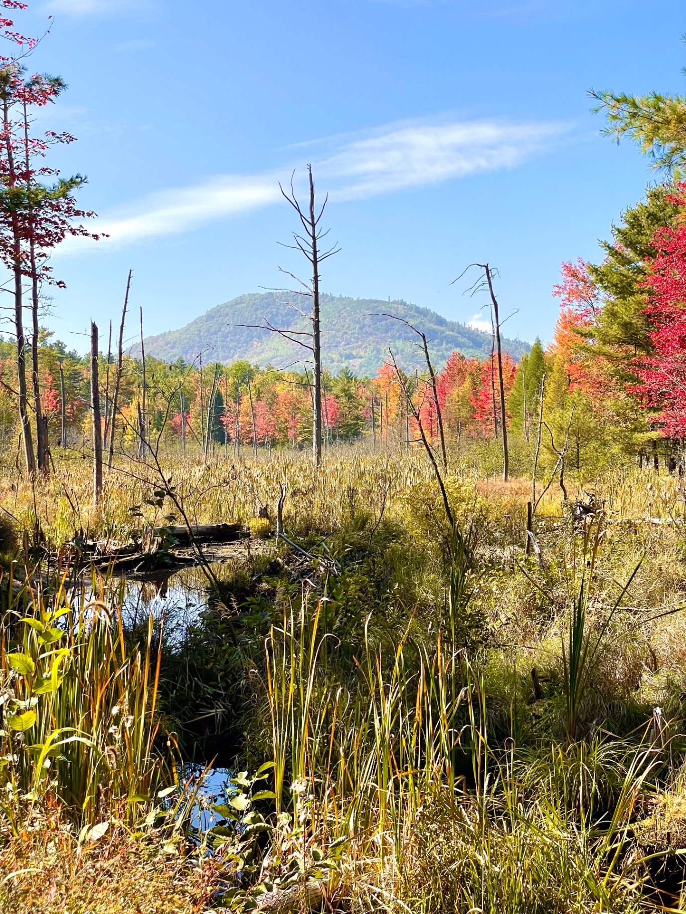 Wild Ausable Lodge photo 52