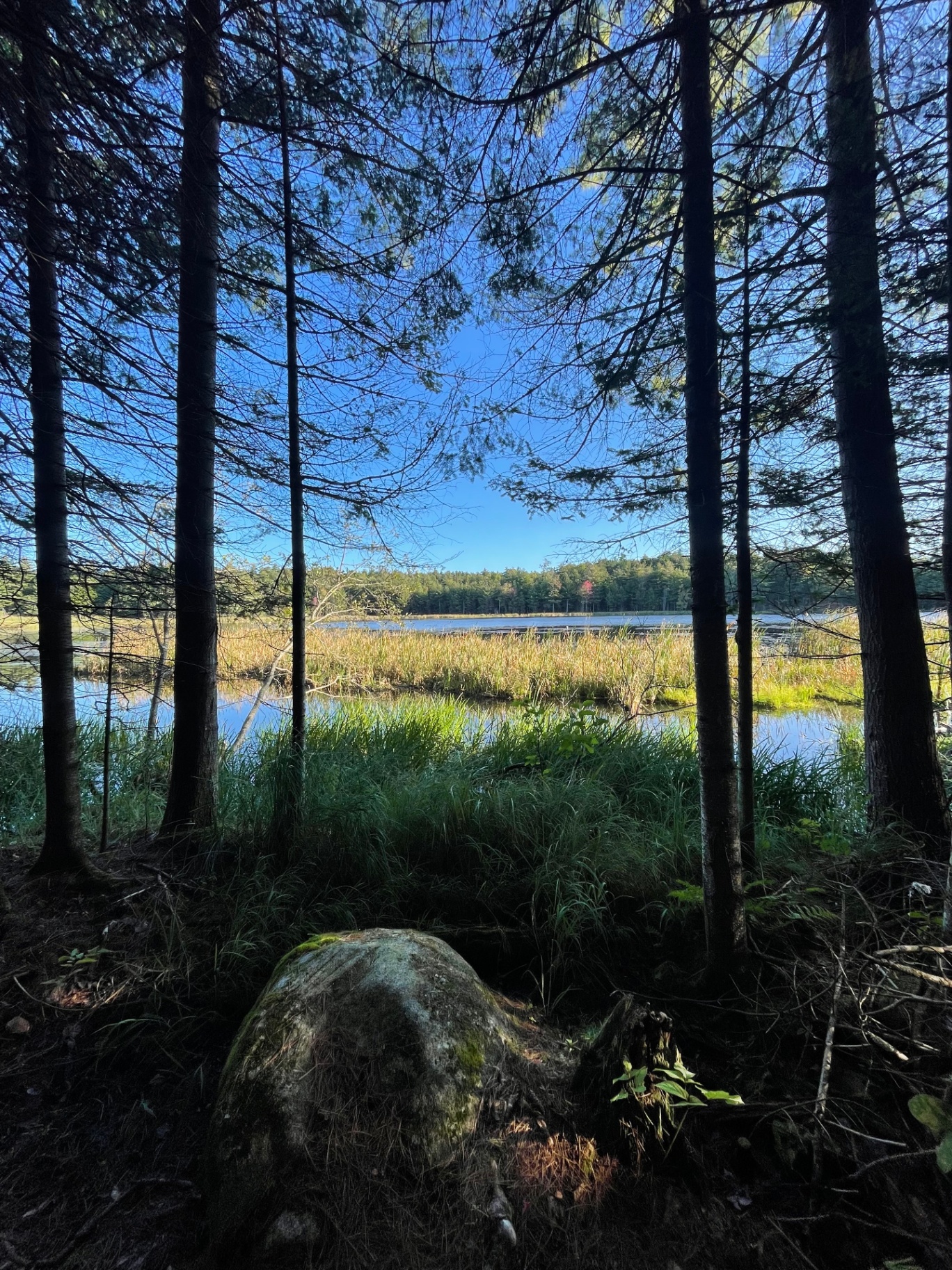 Wild Ausable Lodge photo 50