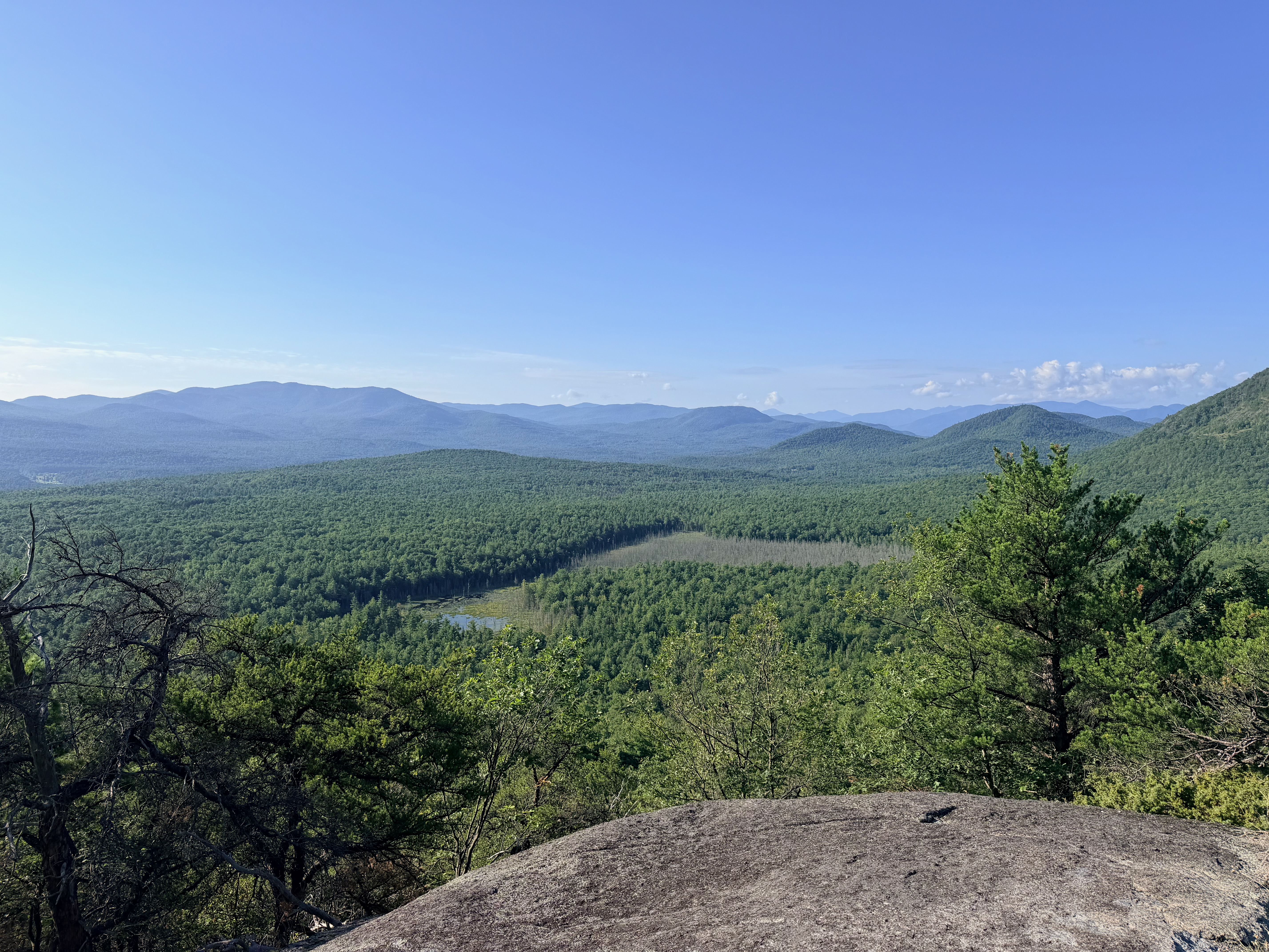 Overlook above the Ausable Acres community forest in Jay NY